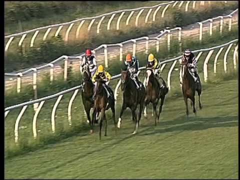 Galoppo 08/07/2015 - 1° corsa