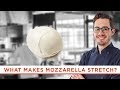 What Makes Mozzarella Cheese Stretchy