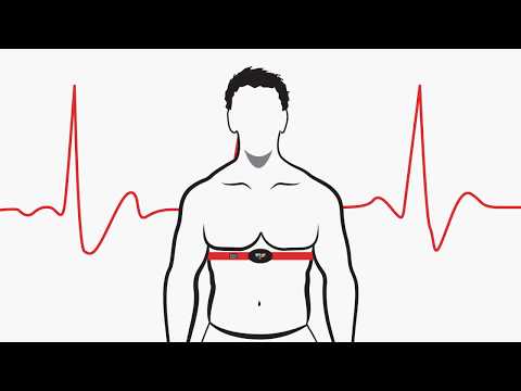 Getting Started with MYZONE