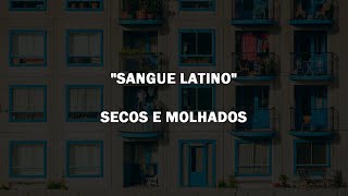 SANGUE LATINO - Secos e Molhados | Letra