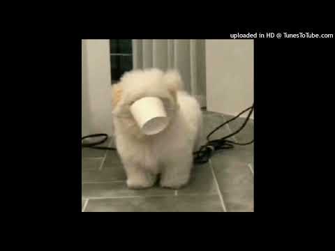 youngestAlan - monety + szpadel (strang)