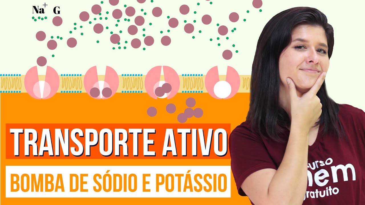 BOMBA DE SÓDIO E POTÁSSIO (TRANSPORTE ATIVO) | Resumo de Biologia para o Enem