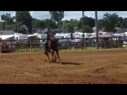 Poco Little Spooky ~ 8|7|2016 Hillsdale, Mi NBHA