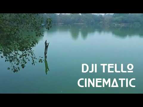 Deepankar Detrox MY DRONE FO...