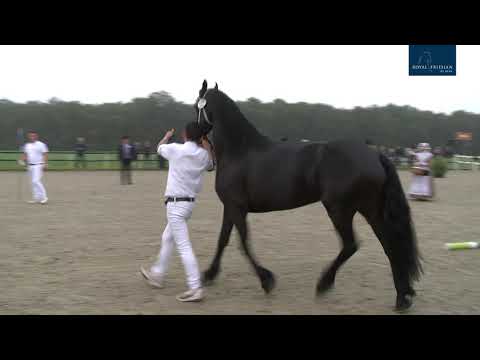 KFPS Centrale Keuring 2021, vrijdag baan 3