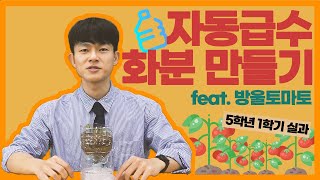 [초등실과] 자동 급수 화분 만들어서 방울 토마토 심기!!