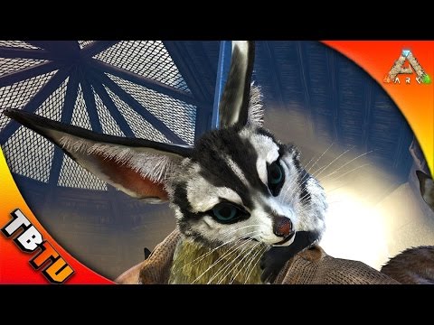 JERBOA LOVE SHACK! JERBOA BREEDING! ARK SURVIVAL SCORCHED EARTH