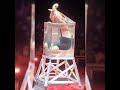 Big Apple Circuse In Ny