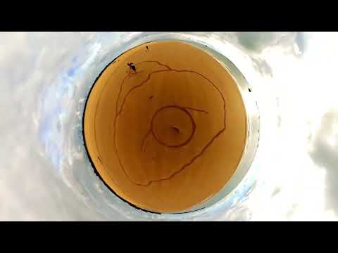 Amazing Sand Art On The Beach