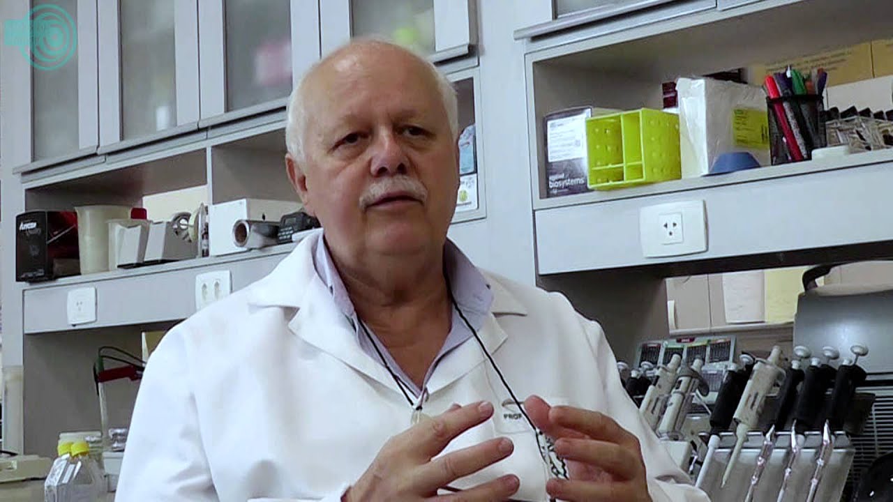 PERSPECTIVAS - Esporotricose