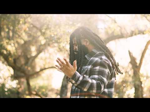 ThatDay June - The Jungle (Official Music Video)