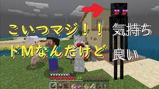 マ⚫️の宅急便。現る！？『ついに村人とご対面の回』マイクラ 実況4話