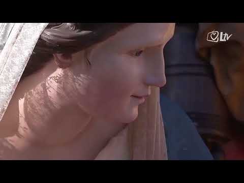 Angelus 17.12.2017. - Ne dajte da vam ukradu Božić!