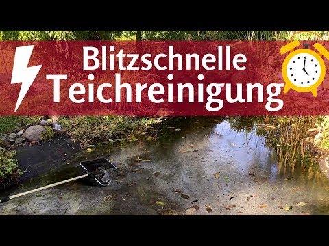 Teichreinigung in wenigen Minuten: Der ultimative Teichschlammentferner