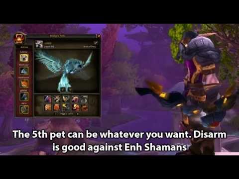 Brang - WoW 90 MM Hunter PvP Guide