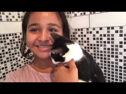 Yoselin Tamara - Rescatando Gatitos