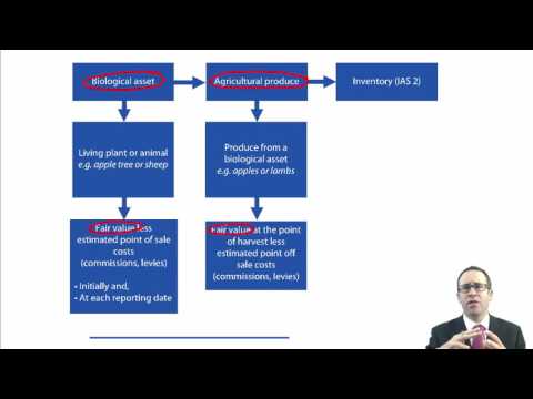 ACCA P2 Agriculture (IAS 41)