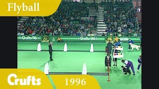 Flyball Final from Crufts 1996 | Crufts Classics