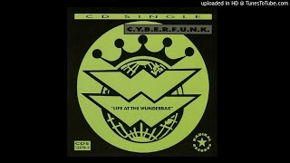 C.Y.B.E.R.F.U.N.K - Live at the Wunderbar PART 2 (The Peak Mix)