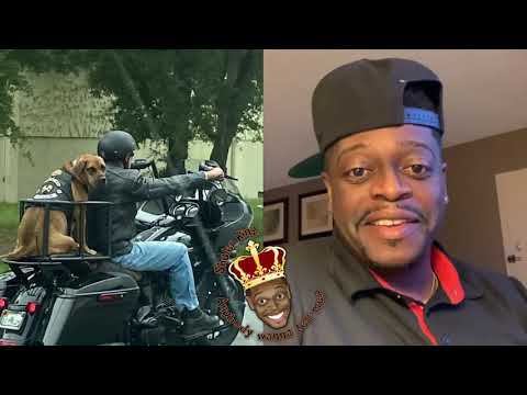 Shuler King - The Dog Ain't About That Biker Life