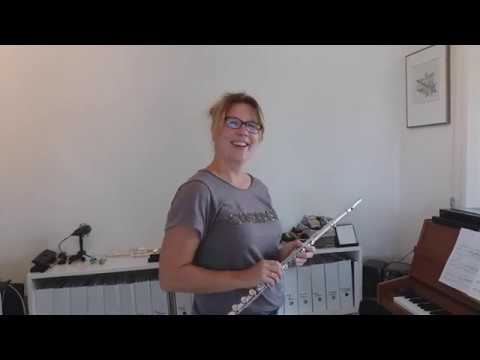 KUNSTGREEP - Dwarsfluitles