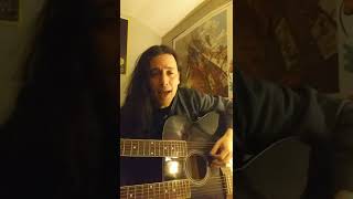 Steve Vai - The Moon And I (cover)