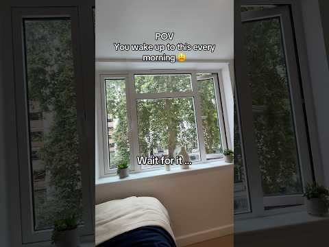 Paddington Citi View video