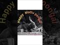 Happy Mattu Pongal To All Farmers