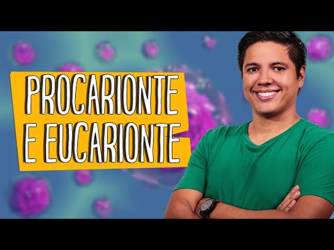 EUKARYOTIC X PROKARYOTIC CELLS - DIFFERENCES - Prof. Kennedy Ramos