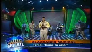 Alacranes Musical Dame Tu Amor  en Sabado Gigante