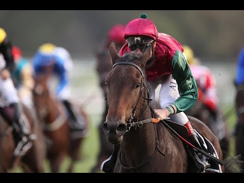 Köln: Preis der Holschbach Immobilien-Gruppe - Stuten Steher Cup (L) - Siegerin: Amorella