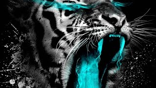 TOP 10 FOTOS INCRÍVEIS (ALEATÓRIOS 2) - PAPEL DE PAREDE PARA CELULAR (WALLPAPER) - #22