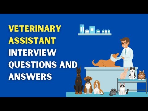 Veterinary Assistant Interview Questions And Answers