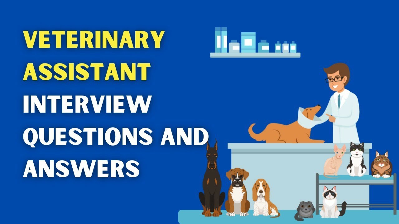 Veterinary Assistant Interview Questions And Answers