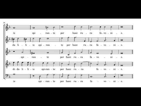 Lassus: Tragico tecti - Odhecaton
