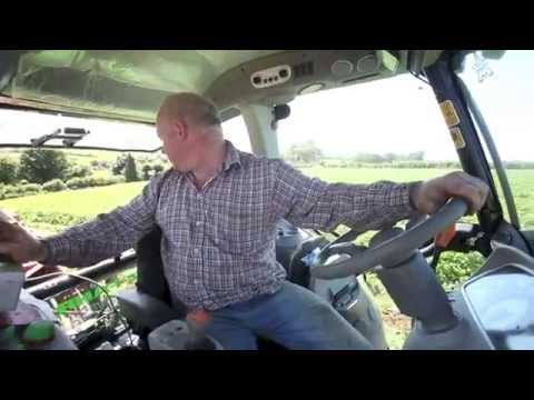 Ian and William Gilliland Harvesting