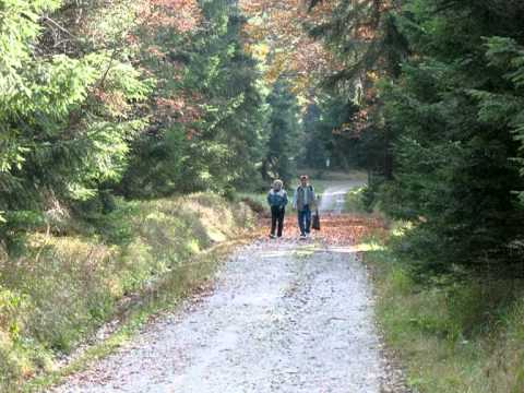 Thüringen, du mein lieb Heimatland