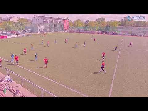 SU Schönbrunn U14 - Gerasdorf  U14