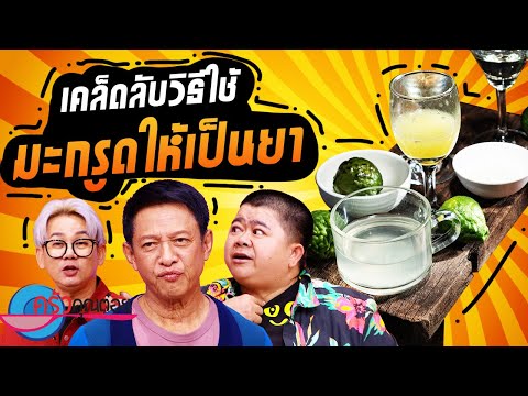 คลิกเพื่อดูคลิปวิดีโอ