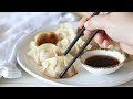 Pork and Cabbage Chinese Dumplings Recipe
