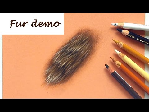 How to draw fur with pastel pencils | Drawing tutorial | Leontine van vliet