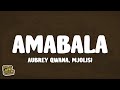 Aubrey Qwana Mjolisi Amabala Lyrics