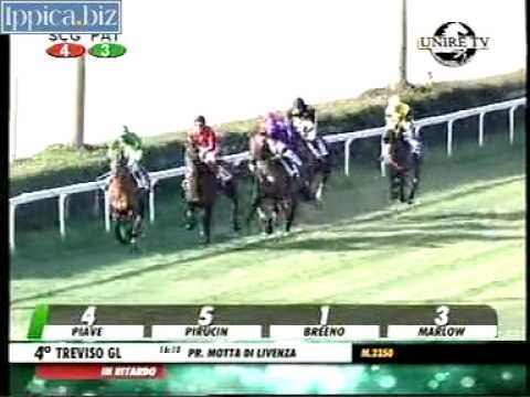 08/03/2014, Treviso , Premio Motta Di Livenza