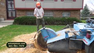 preview picture of video 'Tree Stump Removal Grinding Lakewood CO'