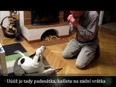 Pár tónů