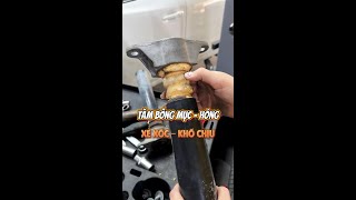 Damaged Car Cotton Swabs - Rotten - Carquickservice.vn | XEX Group Official