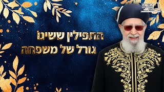 התפילין ששינו גורל של משפחה! | מרן רבינו עובדיה יוסף זצ''ל (מורשת מרן) - התמונה מוצגת ישירות מתוך אתר האינטרנט יוטיוב. זכויות היוצרים בתמונה שייכות ליוצרה. קישור קרדיט למקור התוכן נמצא בתוך דף הסרטון
