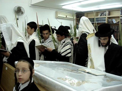 אדמו"ר מטשארנאביל בהושענות