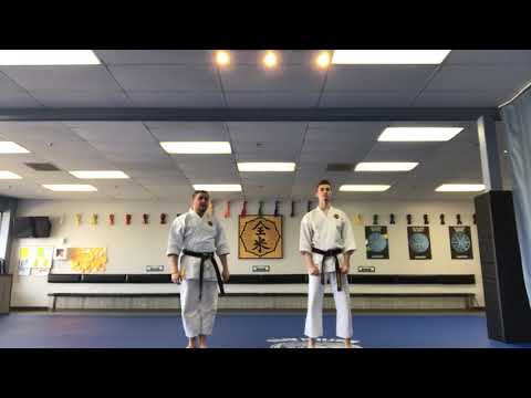 Ippon Kumite #8