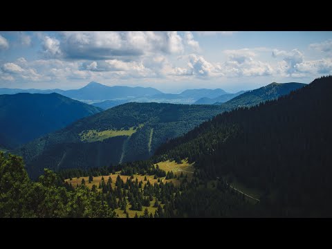 Zbohom ostávajte - Darinka Laščiaková